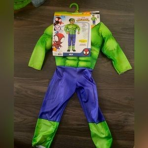 Hulk Costume -Spidey & Friends